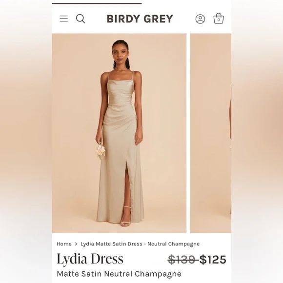 Birdy Grey | Dresses | Birdey Grey Lydia Dress Champagne Bridesmaid Dress | Poshmark Birdy Grey | Dresses | Birdey Grey Lydia Dress Champagne Bridesmaid Dress | Poshmark
